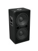 Сабвуфер BX-2250 Subwoofer