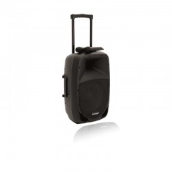 Портативная аудиосистема MES-12BT2