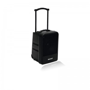 Портативная аудиосистема MOM-10BT4