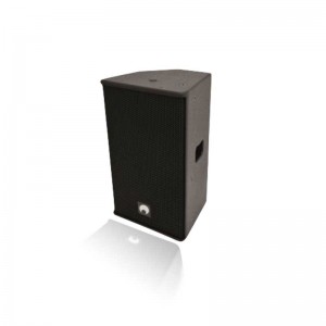 Акустическая система PAS-210+ 2-way top