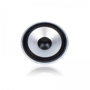 Динамик Woofer DS-153